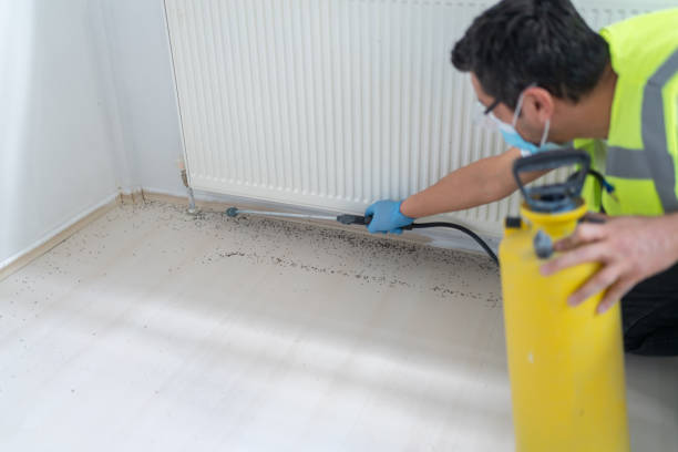 Trusted Willow Grove, TX Pest Control Experts