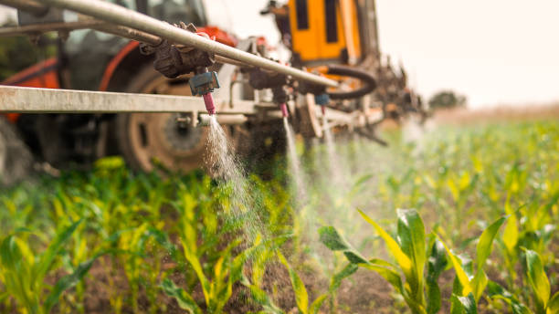 Best Commercial Pest Control Services  in Willow Grove, TX